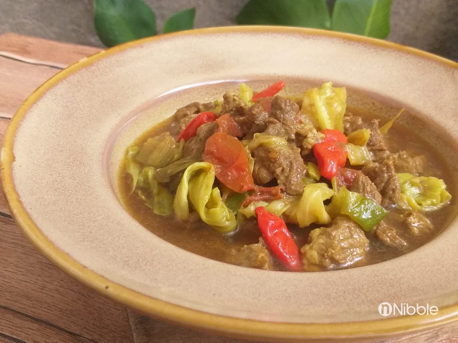 Resep Tongseng Daging Sapi Tanpa Santan